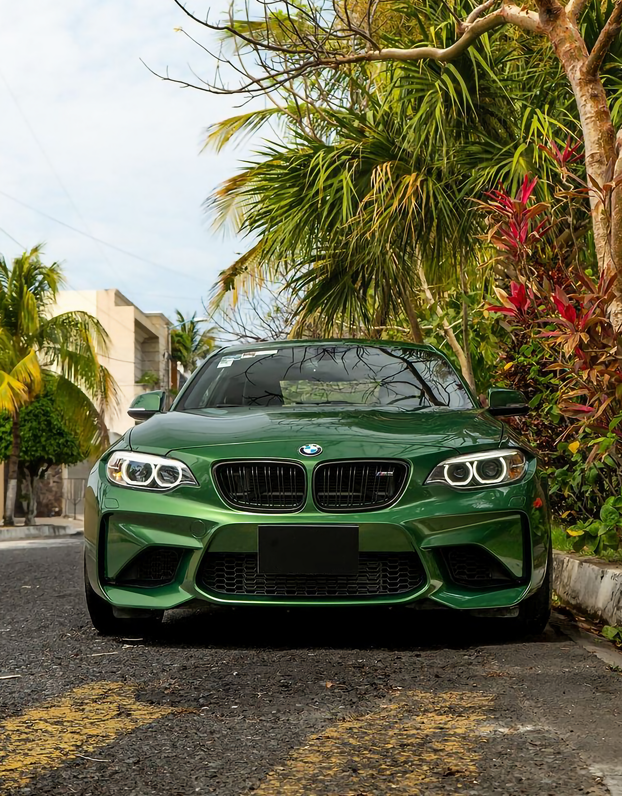 Metal Sonoma Green Vinyl Wraps