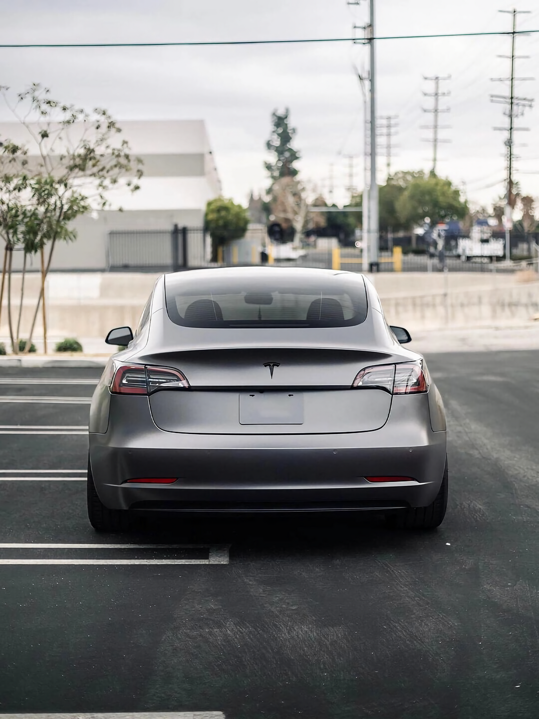 Selenite Gray Vinyl Wraps
