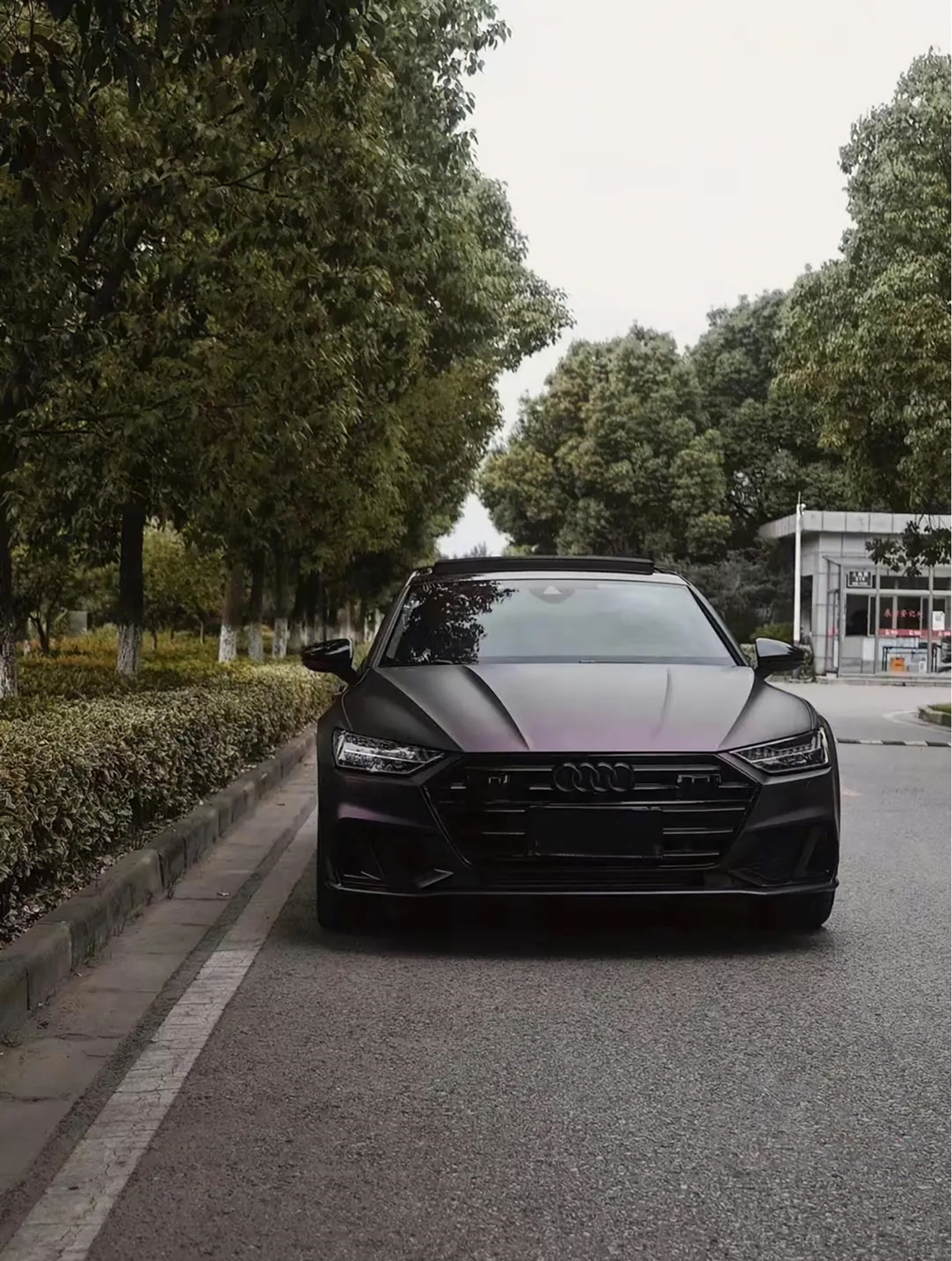 Satin Black Phantom Purple Vinyl Wrap