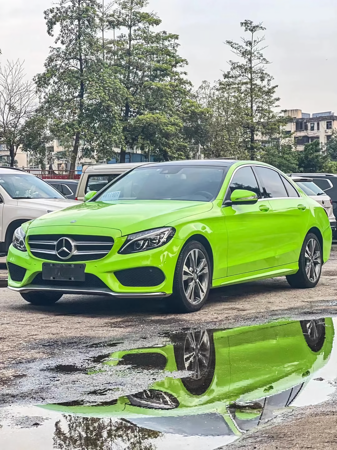 Apple Green Vinyl Wraps
