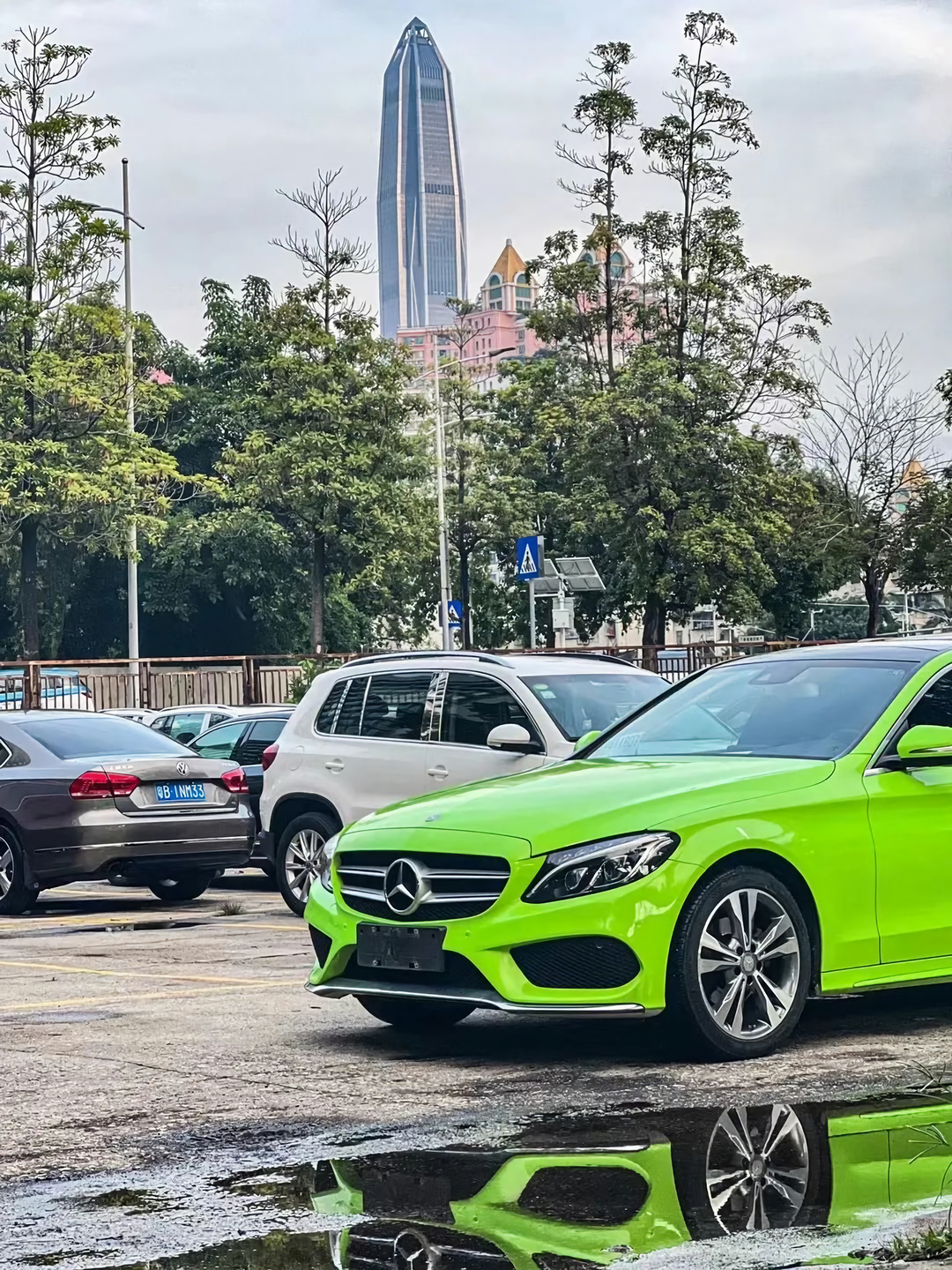 Apple Green Vinyl Wraps