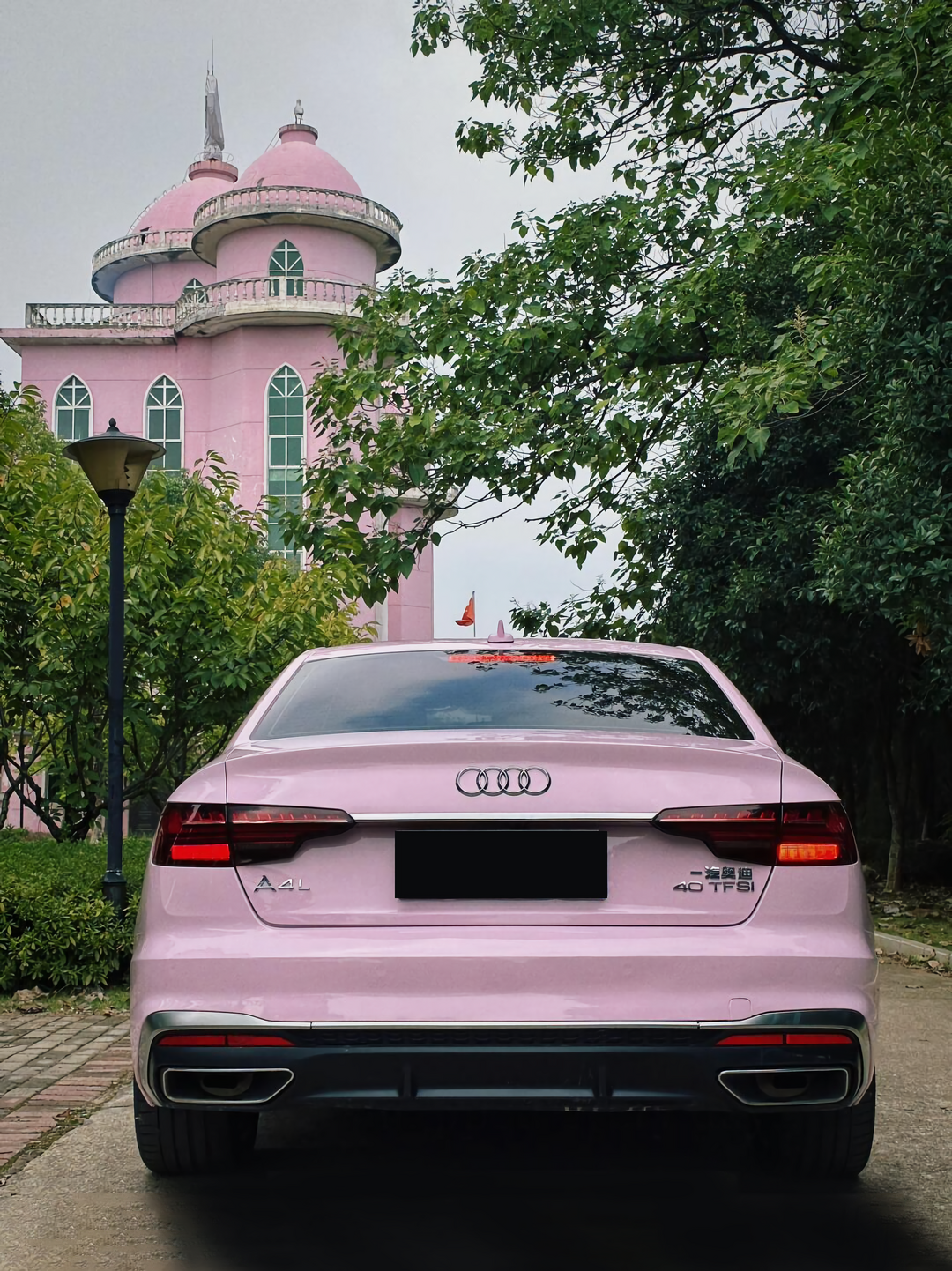 Begonia Pink Vinyl Wraps