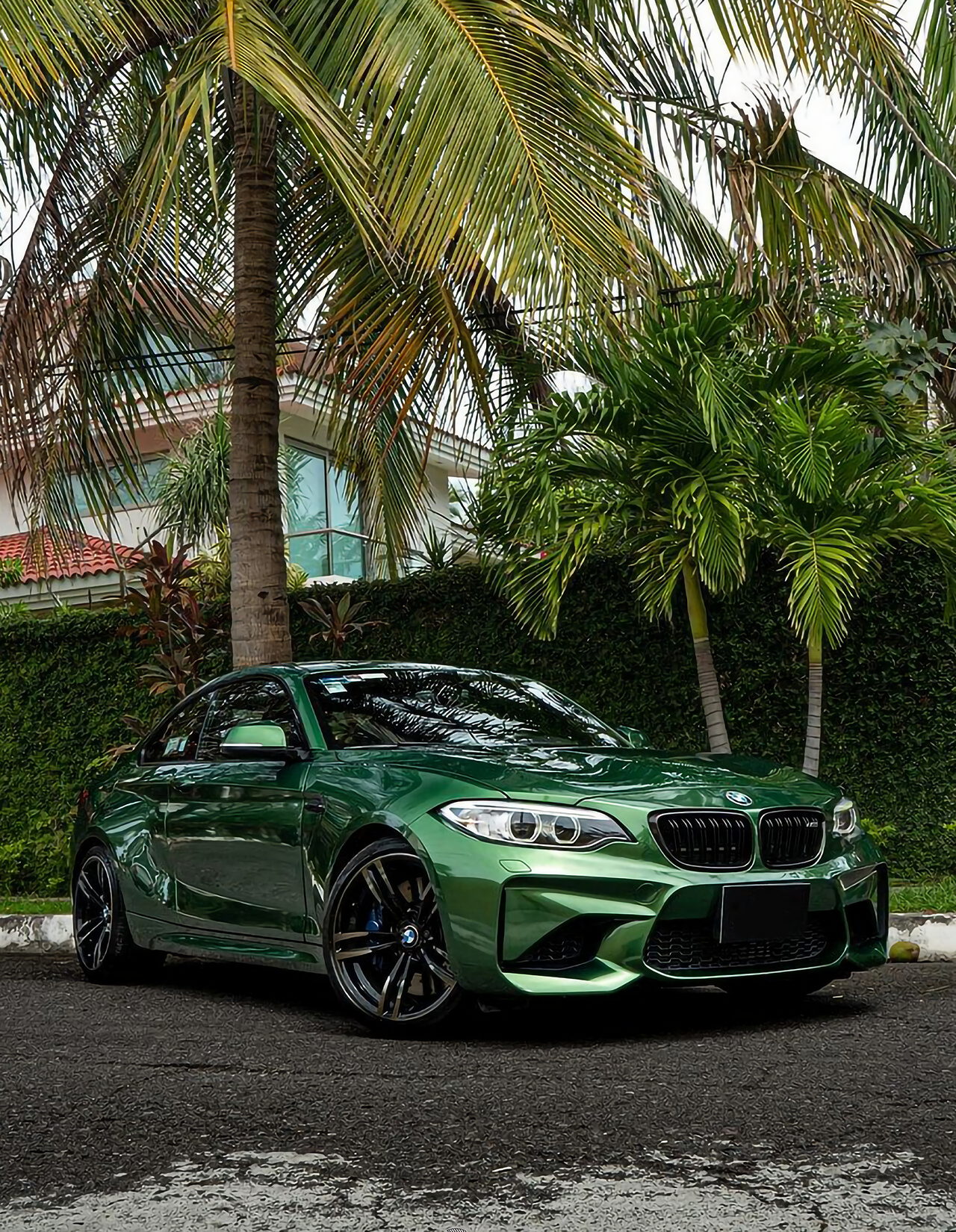 Metal Sonoma Green Vinyl Wraps