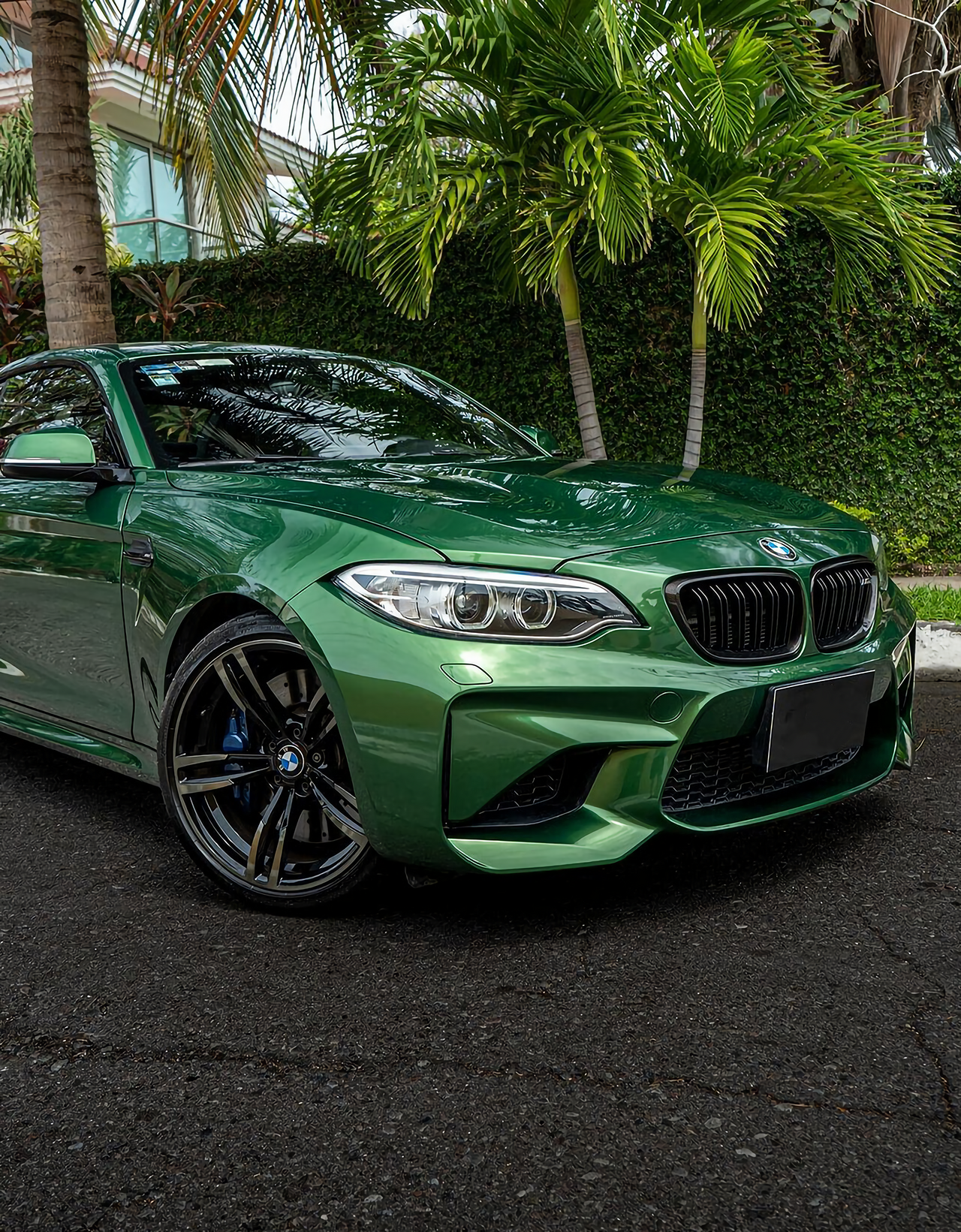 Metal Sonoma Green Vinyl Wraps