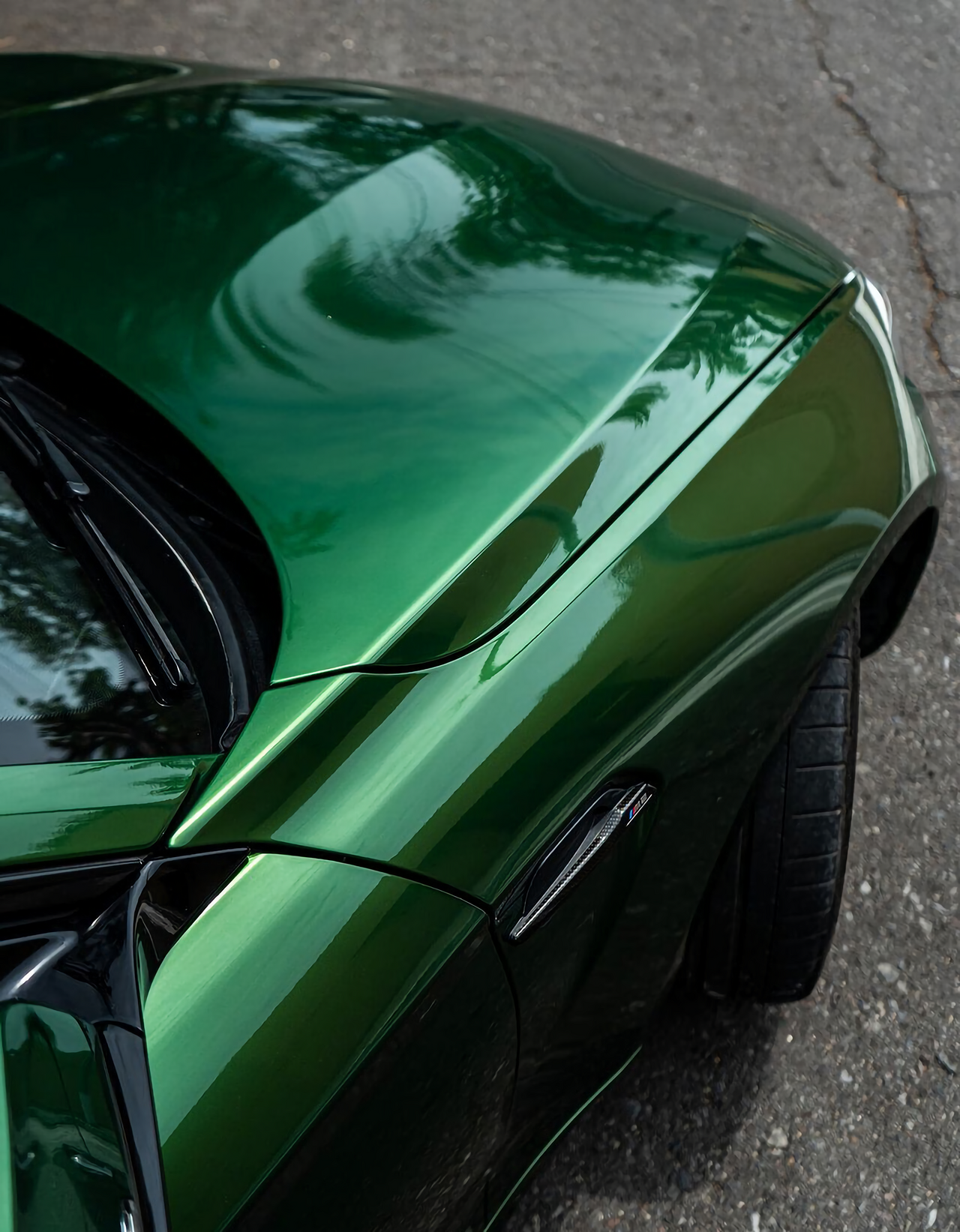 Metal Sonoma Green Vinyl Wraps