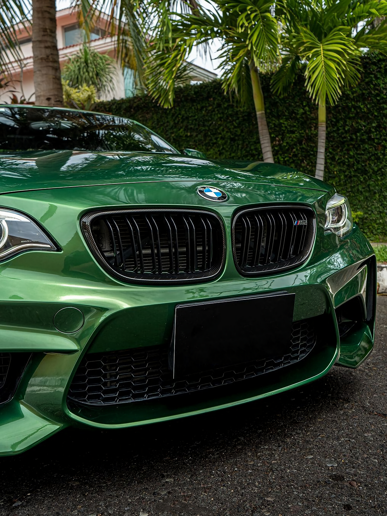 Metal Sonoma Green Vinyl Wraps