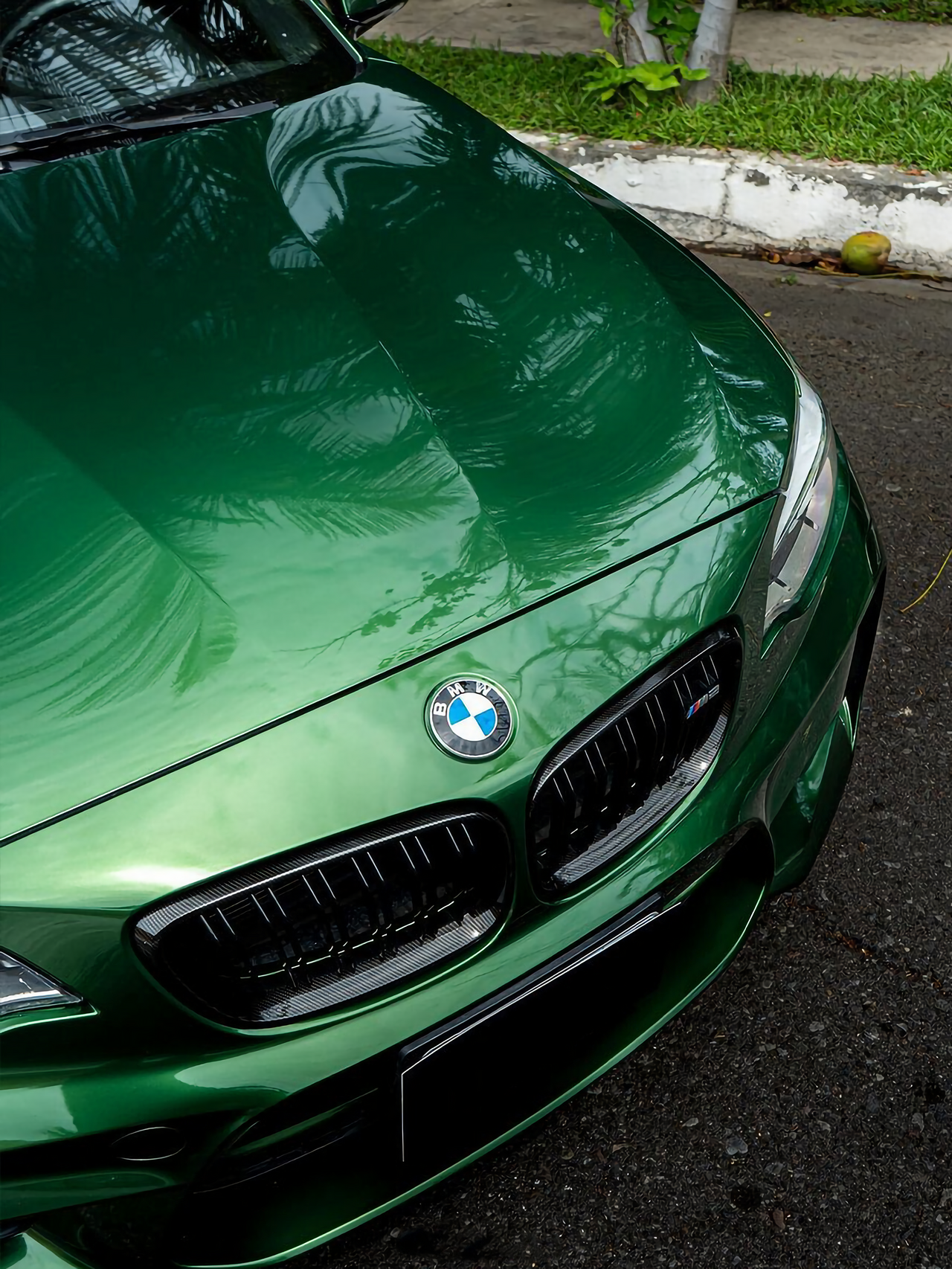 Metal Sonoma Green Vinyl Wraps