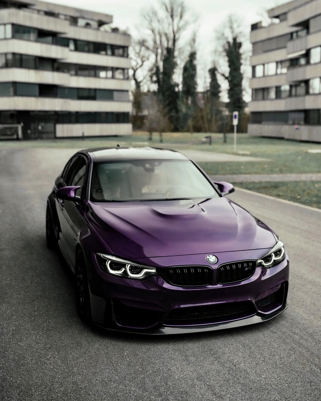 Metal Midnight Purple Vinyl Wraps