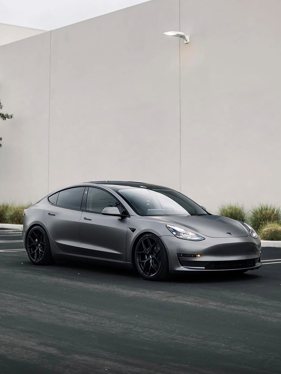 Selenite Gray Vinyl Wraps
