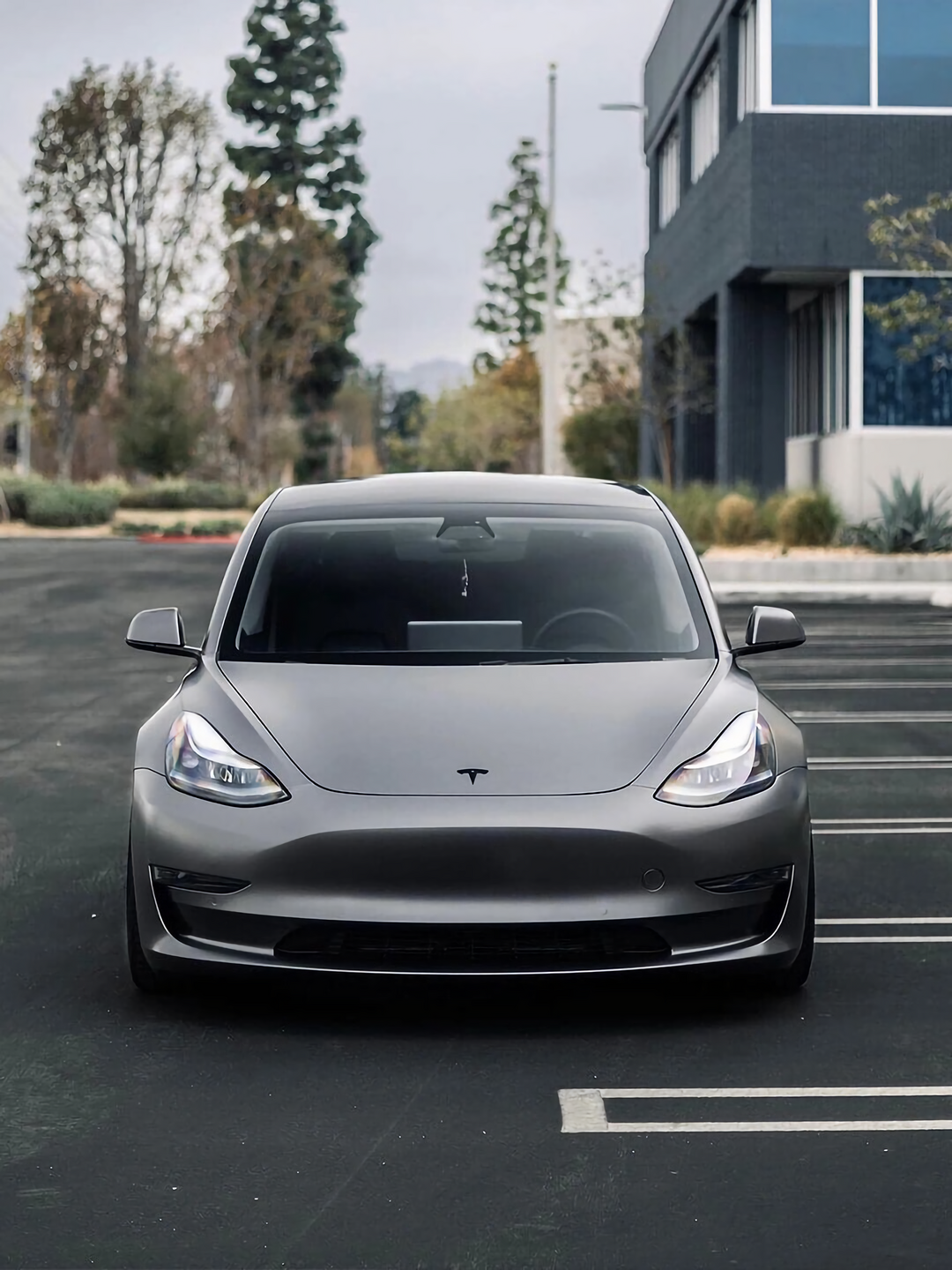 Selenite Gray Vinyl Wraps