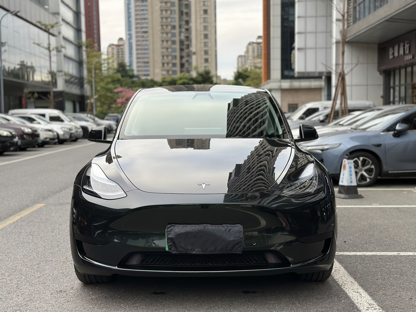 Emerald Green Vinyl Wraps