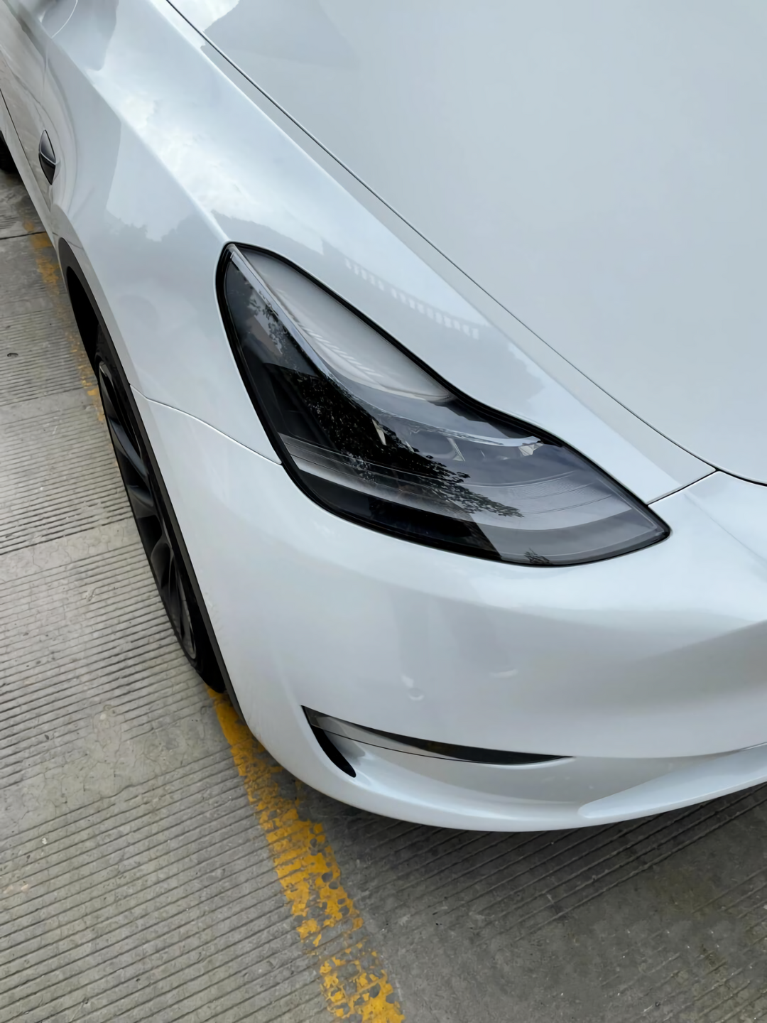 Shell White Vinyl Wraps