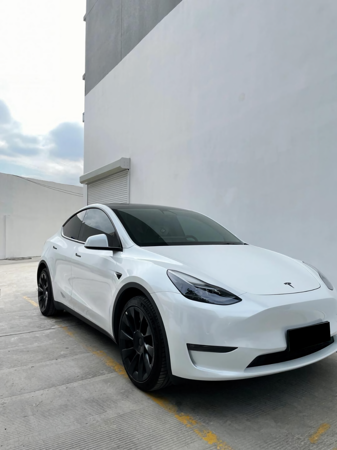 Shell White Vinyl Wraps
