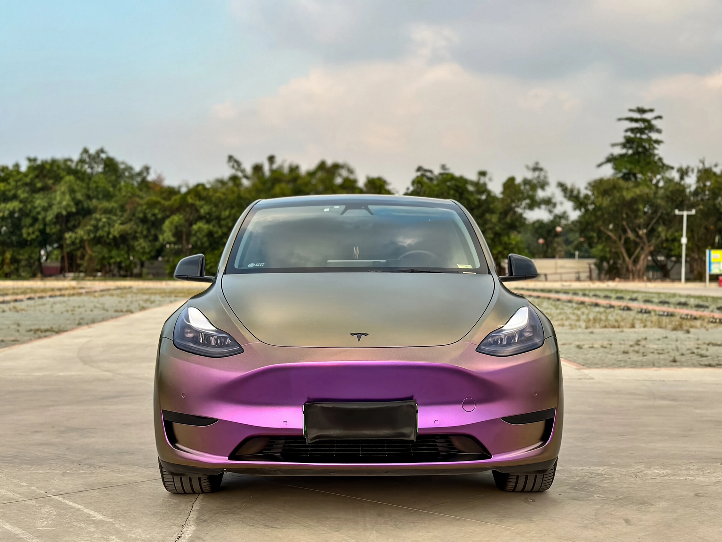 Chameleon Sauce Purple Vinyl Wraps