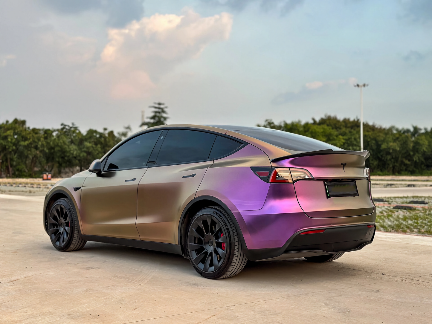 Chameleon Sauce Purple Vinyl Wraps