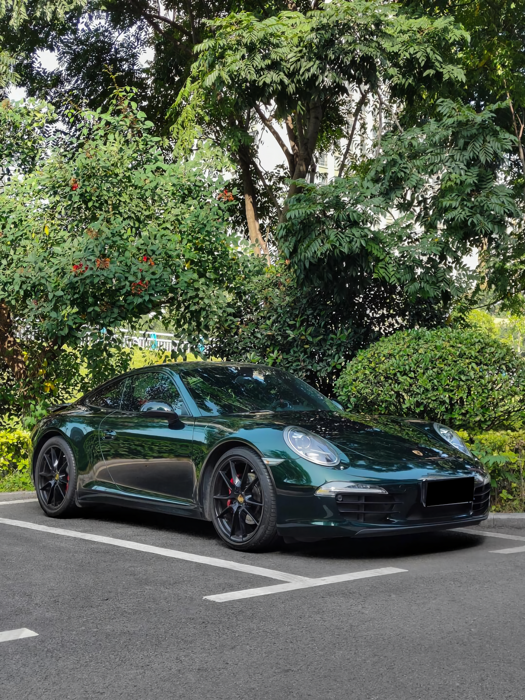Brilliant Royal Green Vinyl Wrap –